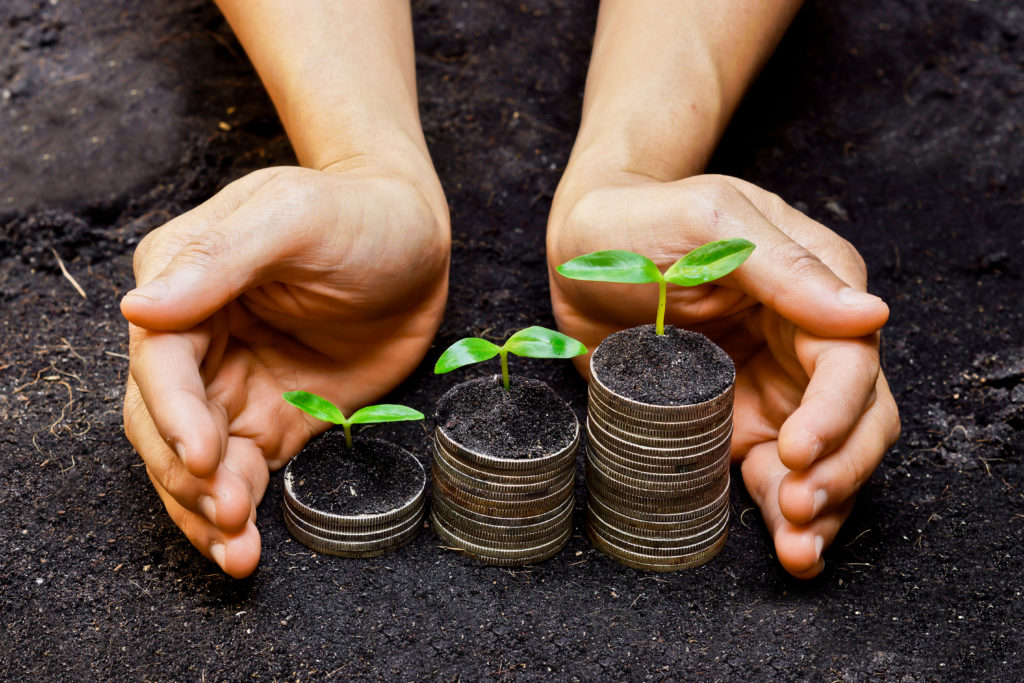 Economic Development - Hands holding trees growing on coins